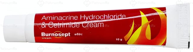 Burnosept Cream 10gm