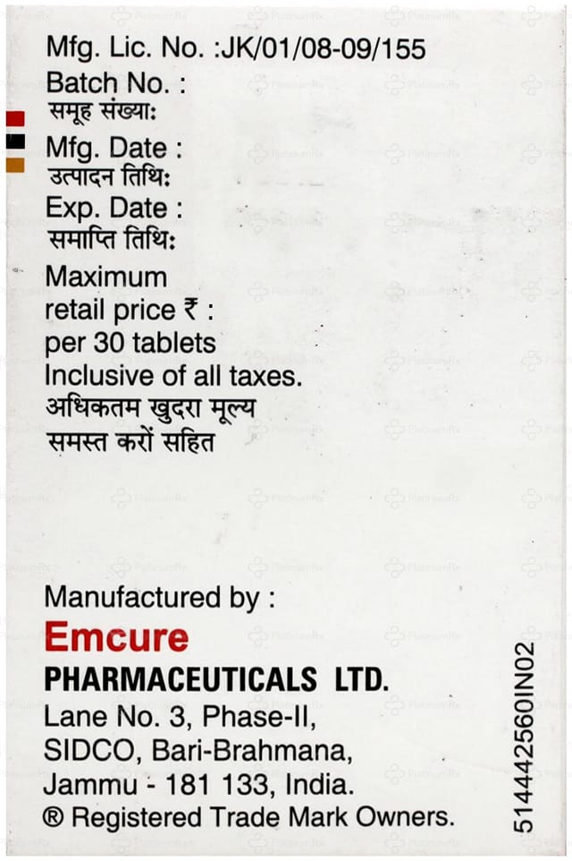 Tavin L 300/300mg Tablet 30s