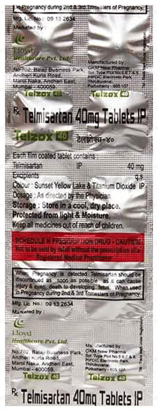 Telzox 40mg Tablet 10s