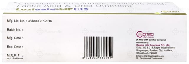 Lozivate MF XL Ointment 60gm