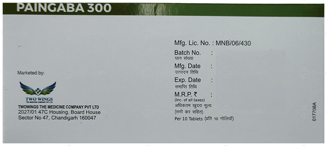 Paingaba 300mg Tablet 10s