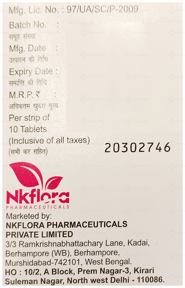 Pregnagest 300mg Tablet SR 10s