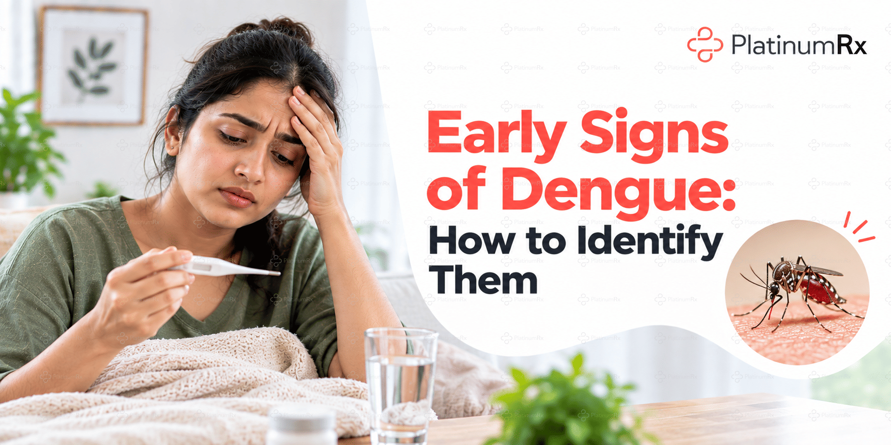 Early Signs of Dengue: How to Identify Them