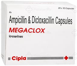 Megaclox 250/250mg Capsule 10s