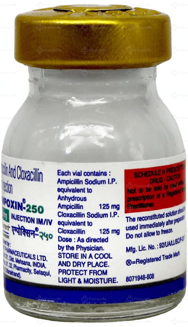 Ampoxin 250mg Injection 5ml