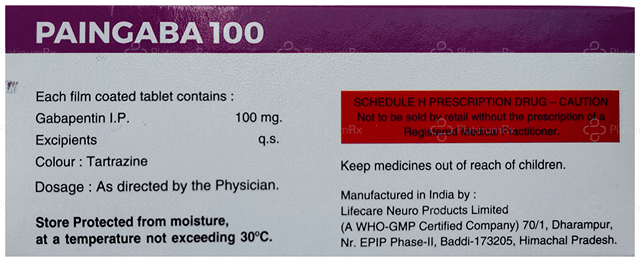 Paingaba 100mg Tablet 10s